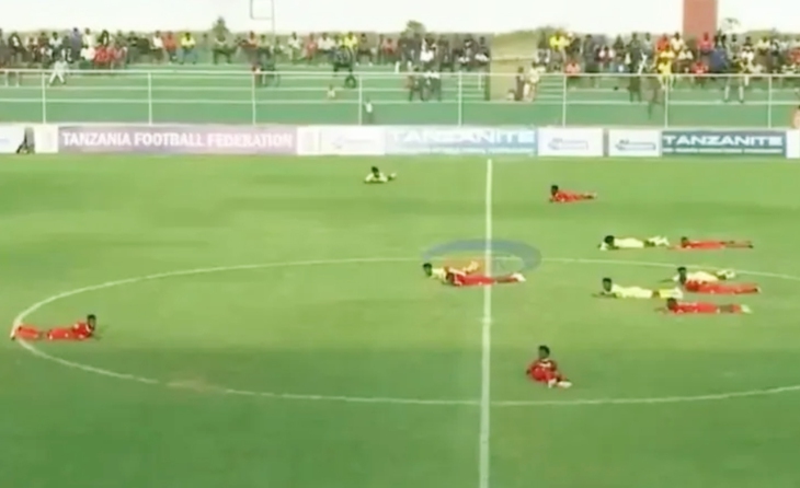 đàn ong - Ảnh 1.