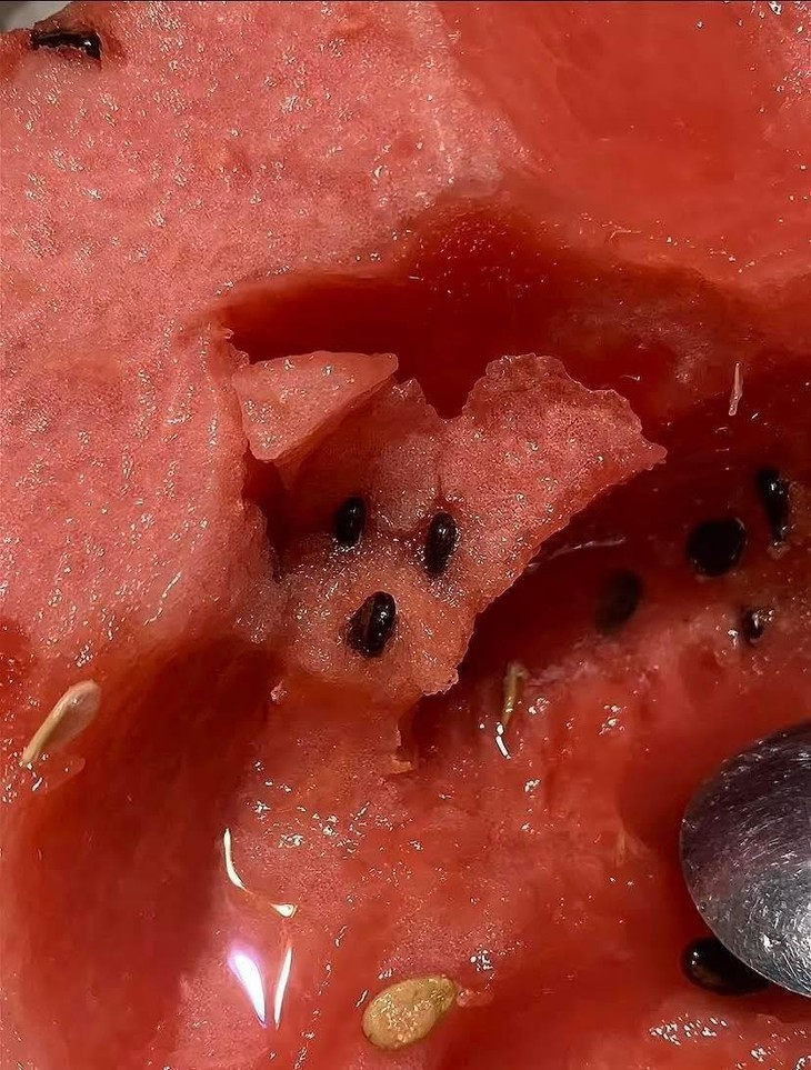 chôm chôm - Ảnh 6.