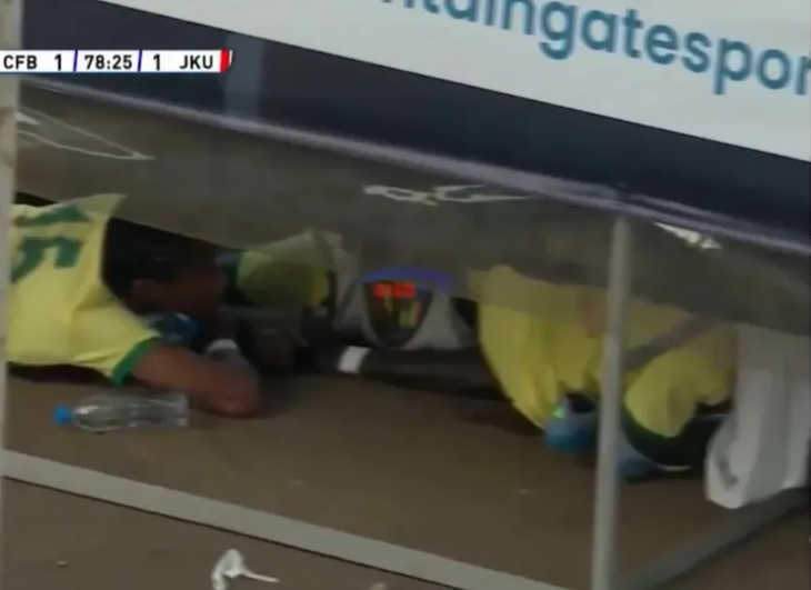 đàn ong - Ảnh 4.