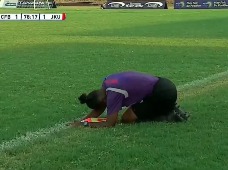 đàn ong - Ảnh 5.