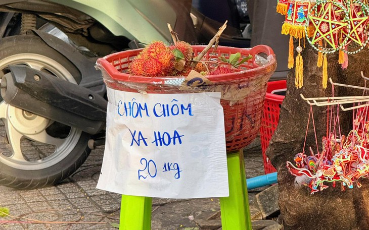 Lê Hoàng Hiệp và những con số ít ai biết - Ảnh 5.