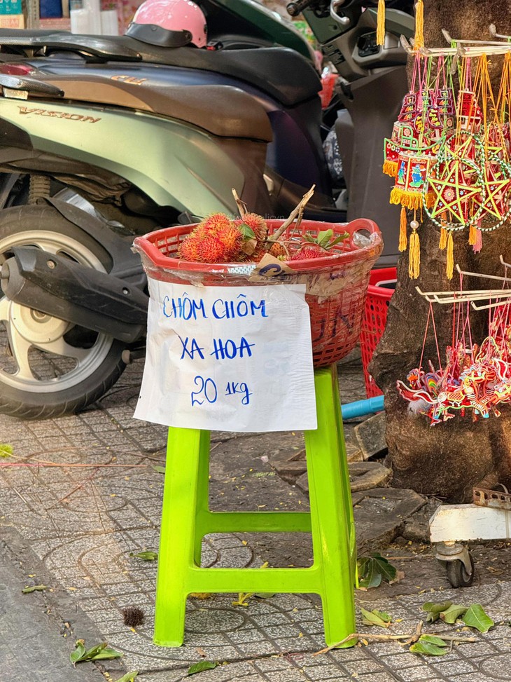 chôm chôm - Ảnh 1.