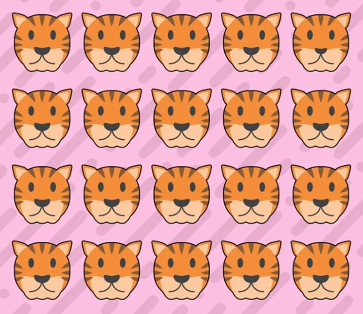 khuôn mặt - Ảnh 3.