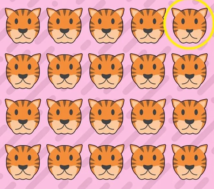 khuôn mặt - Ảnh 4.