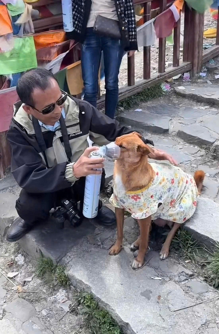 chôm chôm - Ảnh 2.