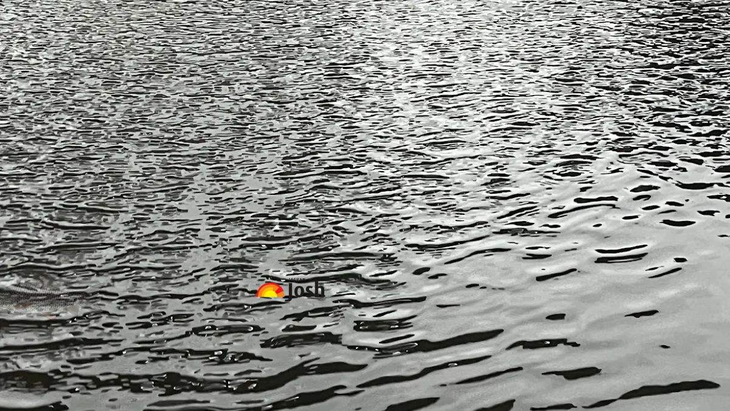 Thử tài tinh mắt - Ảnh 3.