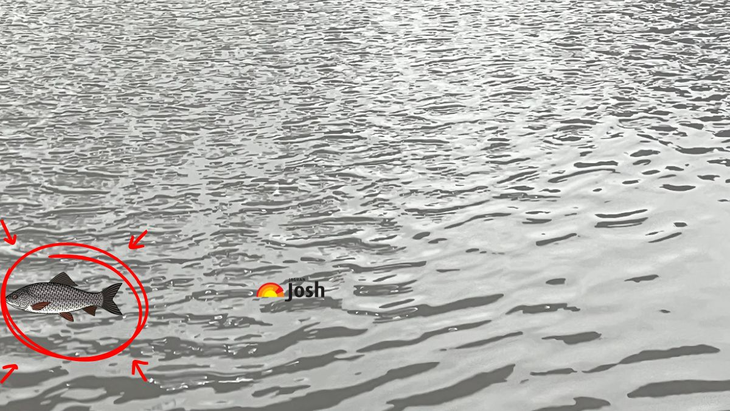 Thử tài tinh mắt - Ảnh 4.