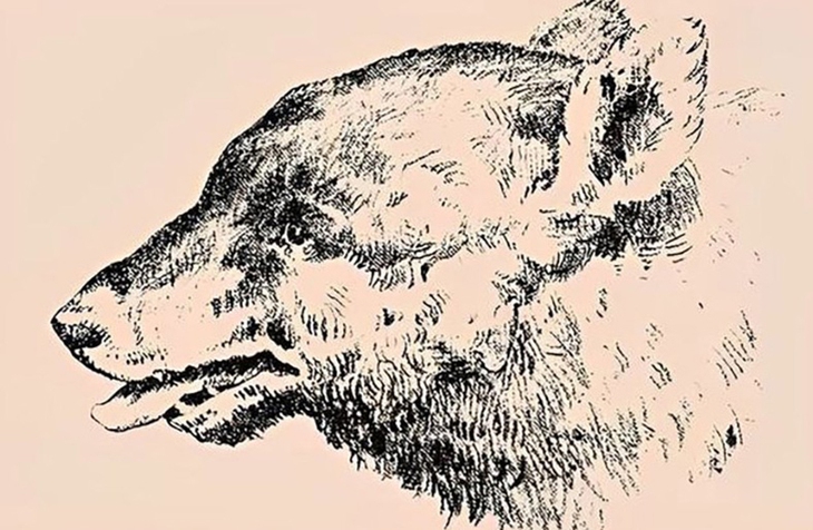 Thử tài tinh mắt - Ảnh 1.