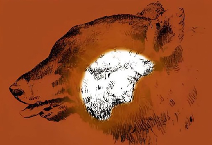 Thử tài tinh mắt - Ảnh 2.