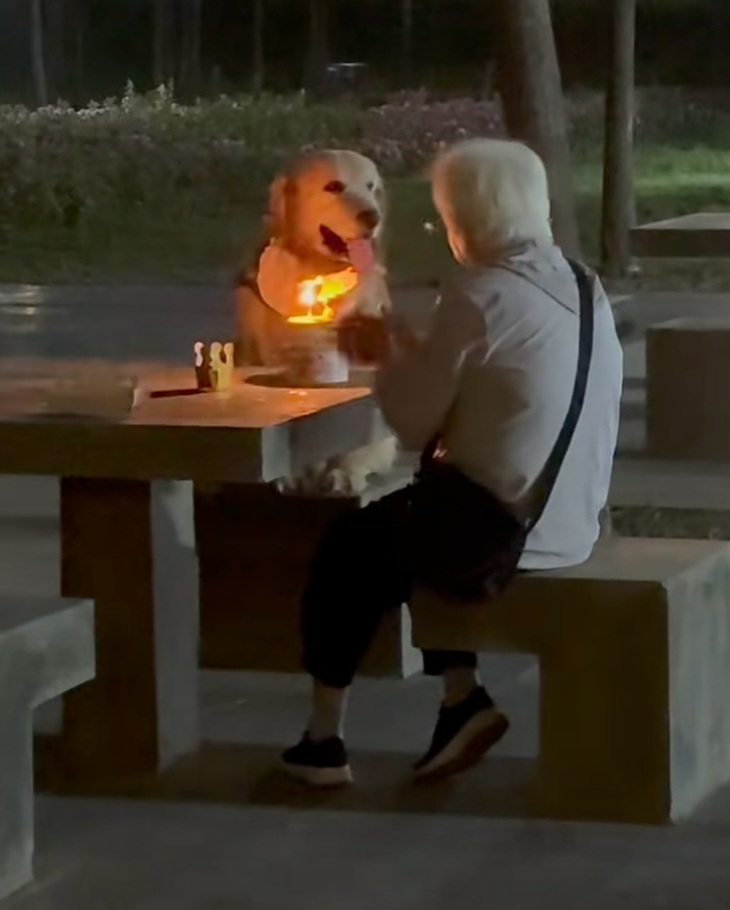 Baby Shark - Ảnh 2.