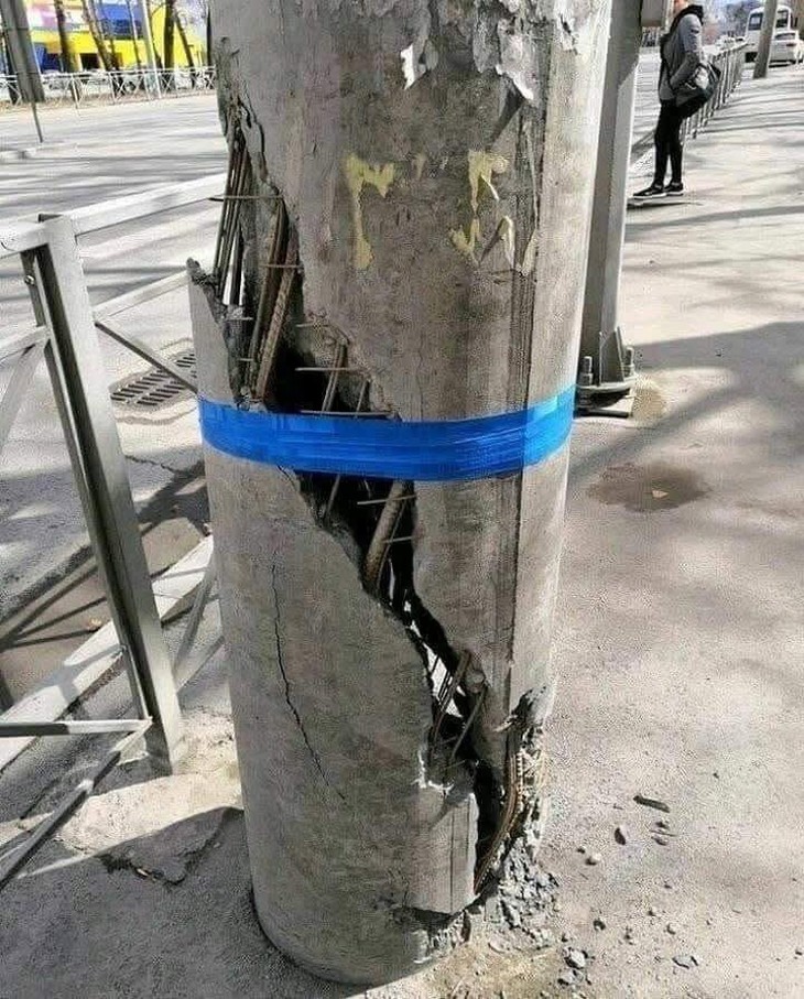 Baby Shark - Ảnh 5.