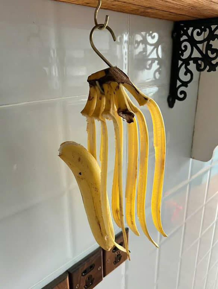 Baby Shark - Ảnh 6.