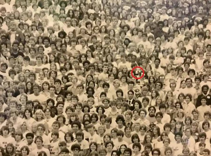 con nhện - Ảnh 4.