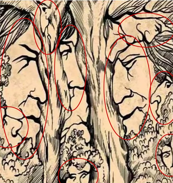 khuôn mặt - Ảnh 2.