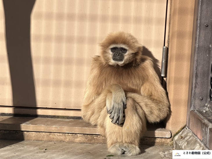 Ảnh vui 9-9: Bánh trung thu chưa bán đã... cháy hàng - Ảnh 7.