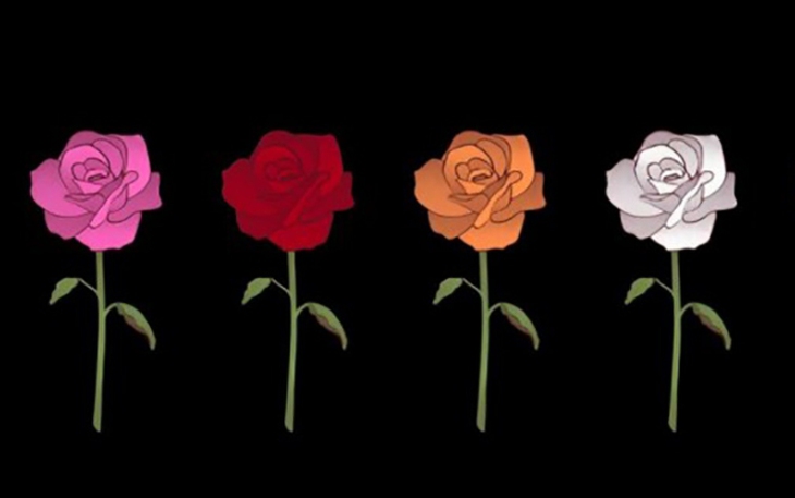 Quiz: Bạn kiên nhẫn hay là người thích phiêu lưu - Ảnh 2.