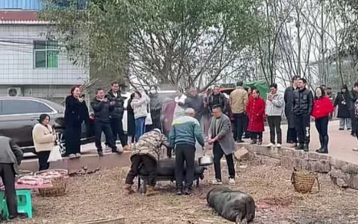 Phát hiện gây sốc về cô gái được mệnh danh 'đẹp nhất thế giới' - Ảnh 3.