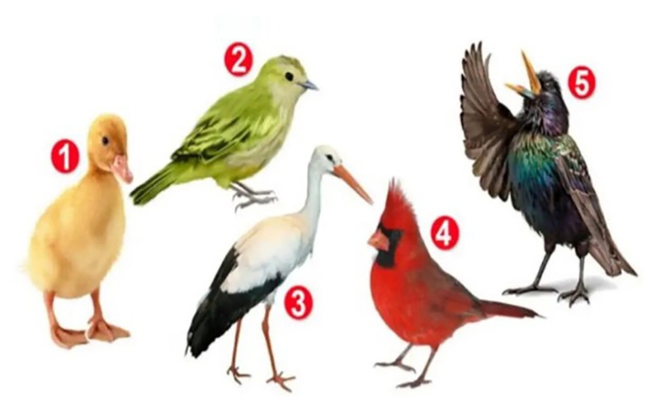 Quiz: Bạn sẽ gặp "một nửa"của mình ở đâu? - Ảnh 2.