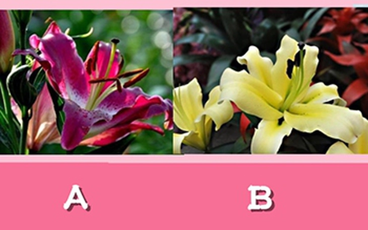 Quiz: Bạn sẽ gặp "một nửa"của mình ở đâu? - Ảnh 4.