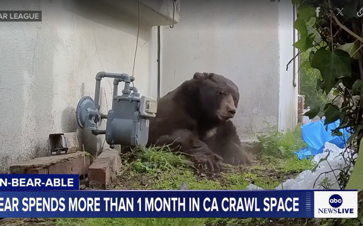 Giới trẻ bỗng vui với ký ức của năm 2016 - Ảnh 4.