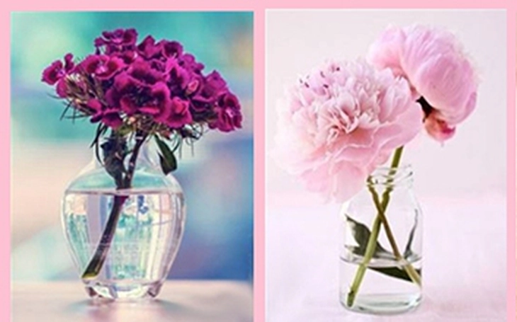 Quiz: Bạn điềm tĩnh, sâu sắc hay là người sống rất tình cảm - Ảnh 2.