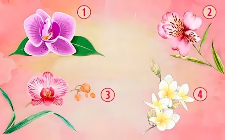 Quiz: Sở thích về hoa tiết lộ mẫu người bạn nên hẹn hò - Ảnh 3.