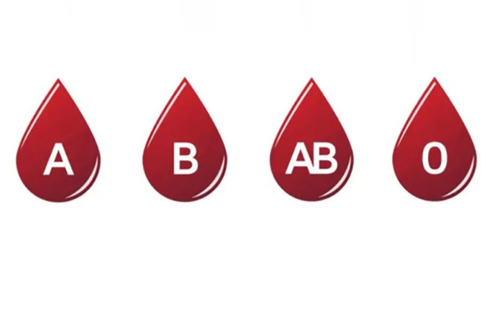 nhóm máu - Ảnh 1.
