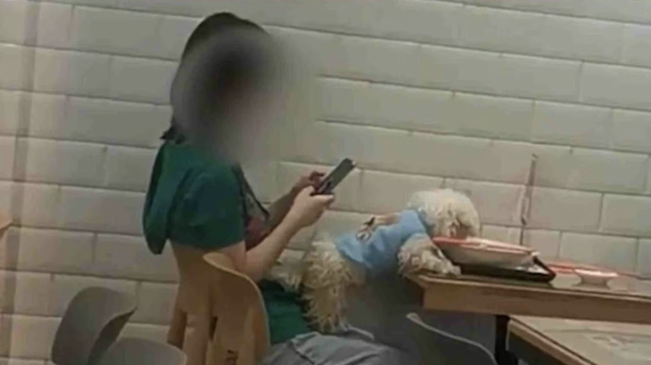 Cái kết của cô gái cho chó ăn trên đĩa ngay tại quán lẩu - Ảnh 2.