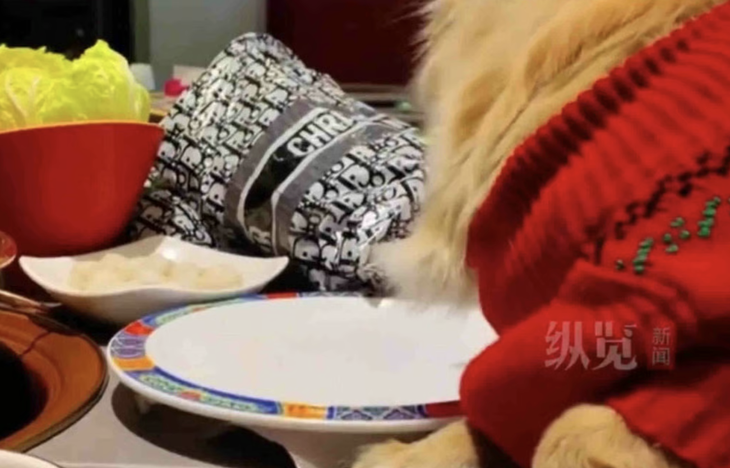 quán lẩu - Ảnh 1.