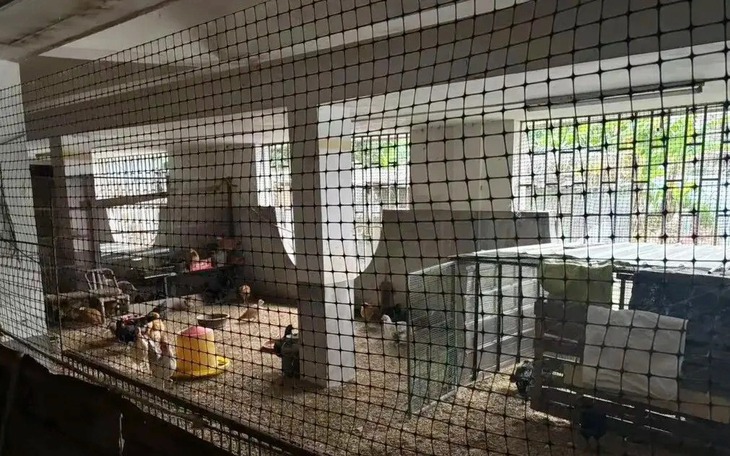 Có một chuyện tình Olympic vừa được 'chốt đơn' - Ảnh 5.