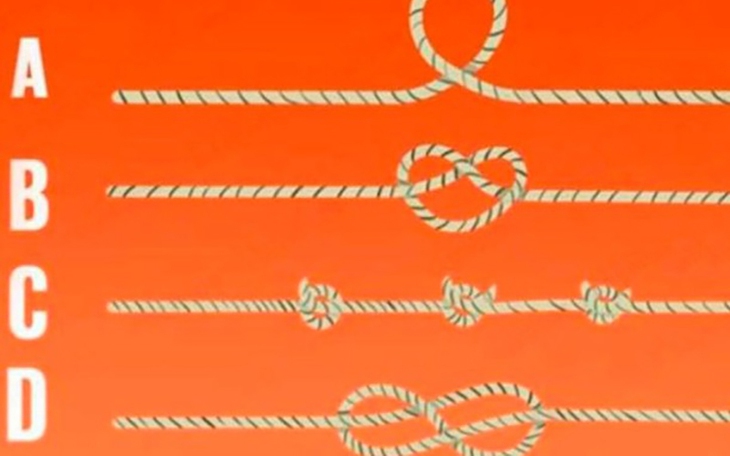 Quiz: Bạn sở hữu khả năng suy luận sắc bén hay là người cầu toàn? - Ảnh 2.