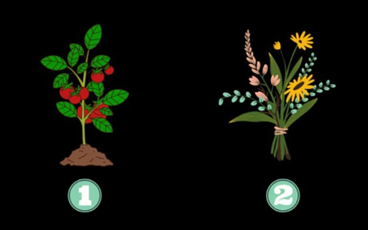 Tarot: Bạn và người ấy có thành đôi trong 2026? - Ảnh 2.