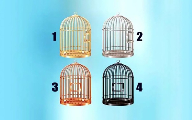 Quiz: Bạn giỏi giải quyết vấn đề hay là người tư duy cởi mở - Ảnh 3.