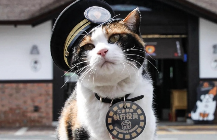 Có một nước đang ở năm 2082, 'sống lệch' với cả thế giới - Ảnh 6.