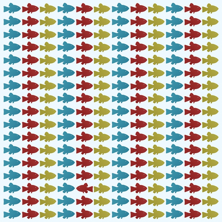 Mắt 10/10 mới tìm ra con mèo khác biệt trong đàn - Ảnh 13.