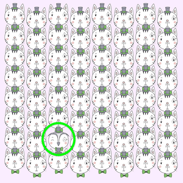 Mắt 10/10 mới tìm ra con mèo khác biệt trong đàn - Ảnh 12.