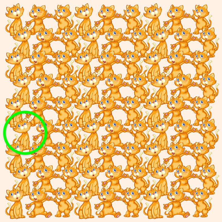 Mắt 10/10 mới tìm ra con mèo khác biệt trong đàn - Ảnh 9.