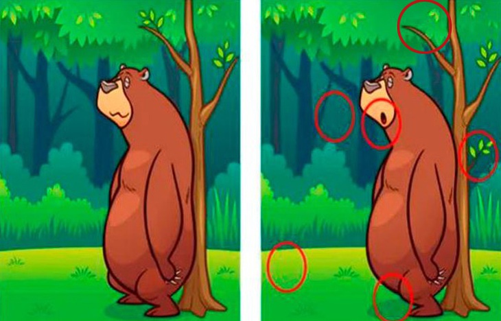 1 trong 10 người mới thấy con gấu trúc, còn bạn? - Ảnh 1.