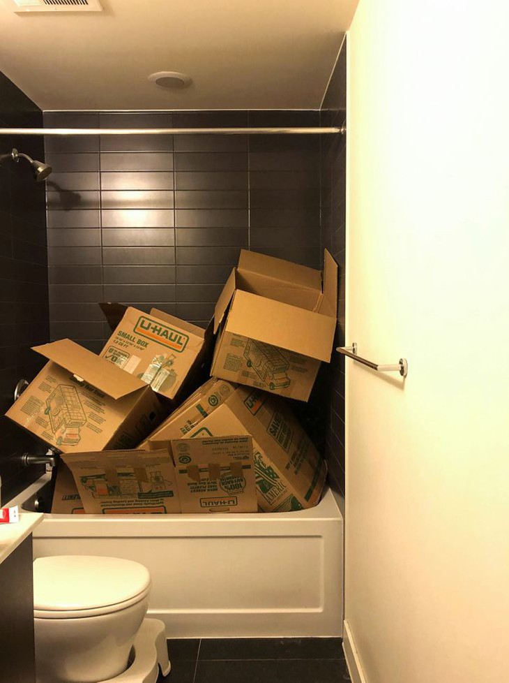 Người mắt tinh như đại bàng mới thấy con vật ẩn giấu trong hình - Ảnh 7.