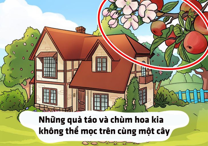 Tranh vợ trẻ tận tụy dọn dẹp nhà cửa có gì bất thường? - Ảnh 9.
