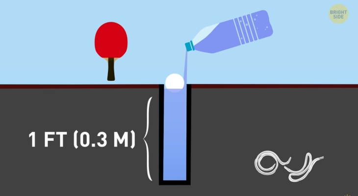 Bài toán chia đều 10 viên đường vào 3 cái cốc - Ảnh 4.