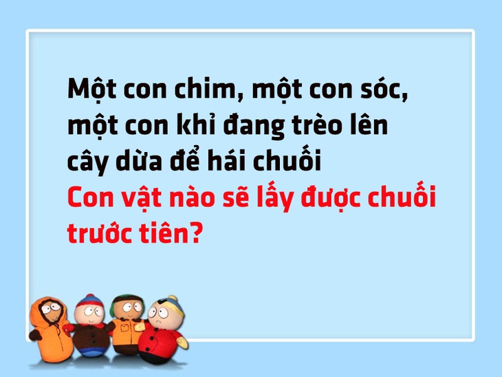 Chim, sóc và khỉ cùng thi đua hái chuối, con nào thắng? - Ảnh 1.