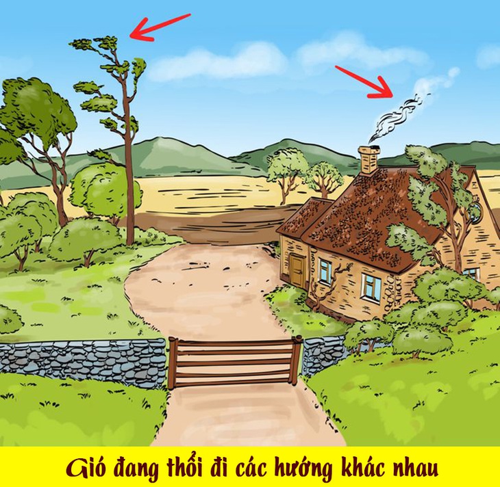 Điểm vô lý trong tranh lạc đà đi trên sa mạc là gì? - Ảnh 12.