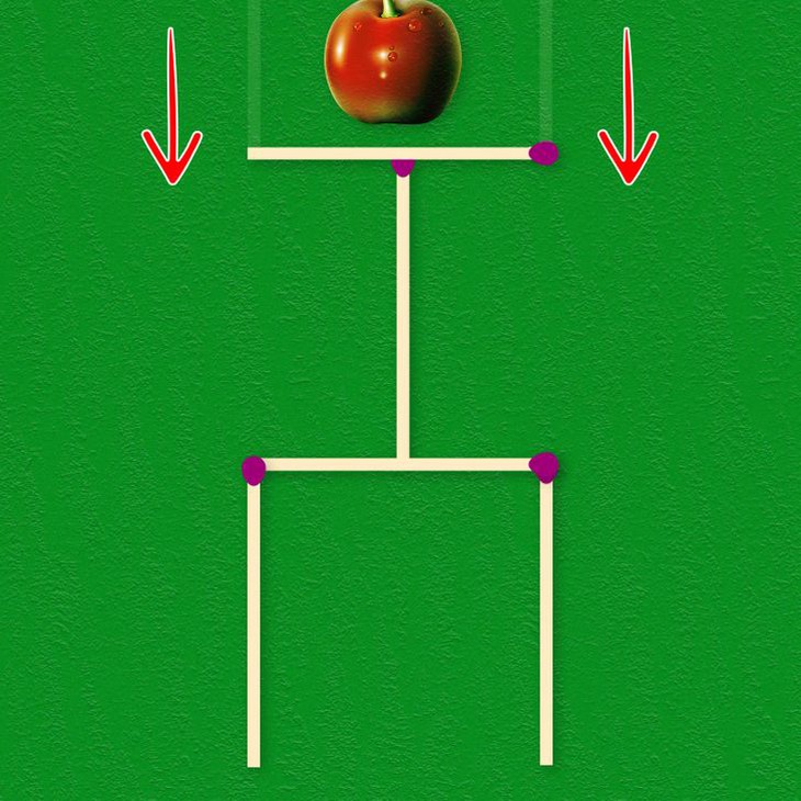 Hãy làm cho con vật nhìn lại bằng cách di chuyển 2 que diêm - Ảnh 6.