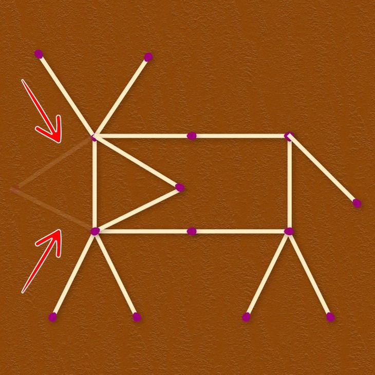 Hãy làm cho con vật nhìn lại bằng cách di chuyển 2 que diêm - Ảnh 3.