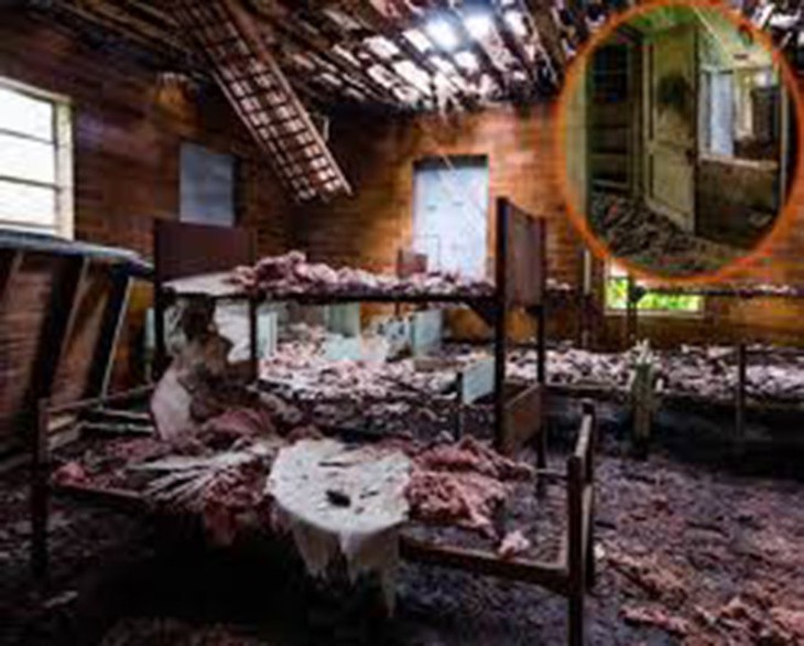 Nguyên mẫu có thực cho trường Nickel là ngôi trường nam sinh Arthur G. Dozier này, bị đóng cửa năm 2011 sau khi những vụ hành hạ, tra tấn và giết các nam sinh bị phanh phui. -Ảnh: daily.bhaskar.com