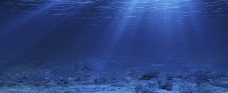 underwater landscape