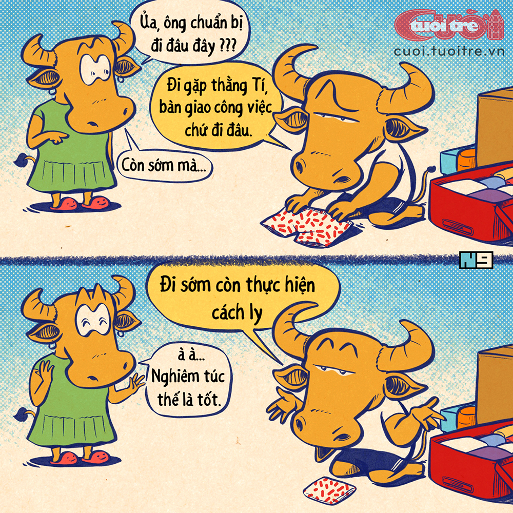 Trâu Vàng chuẩn bị lên đường