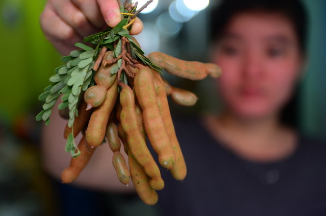 Me chua -Quang Định