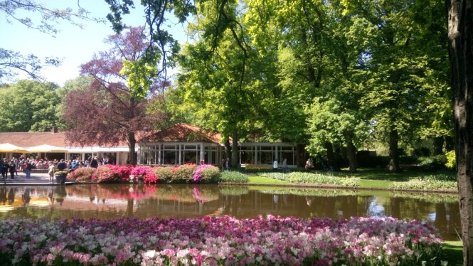 Sắc xuân Hà Lan. Ảnh chụp trong vườn Keukenholf ở Lisse. Ảnh: P.X.L.